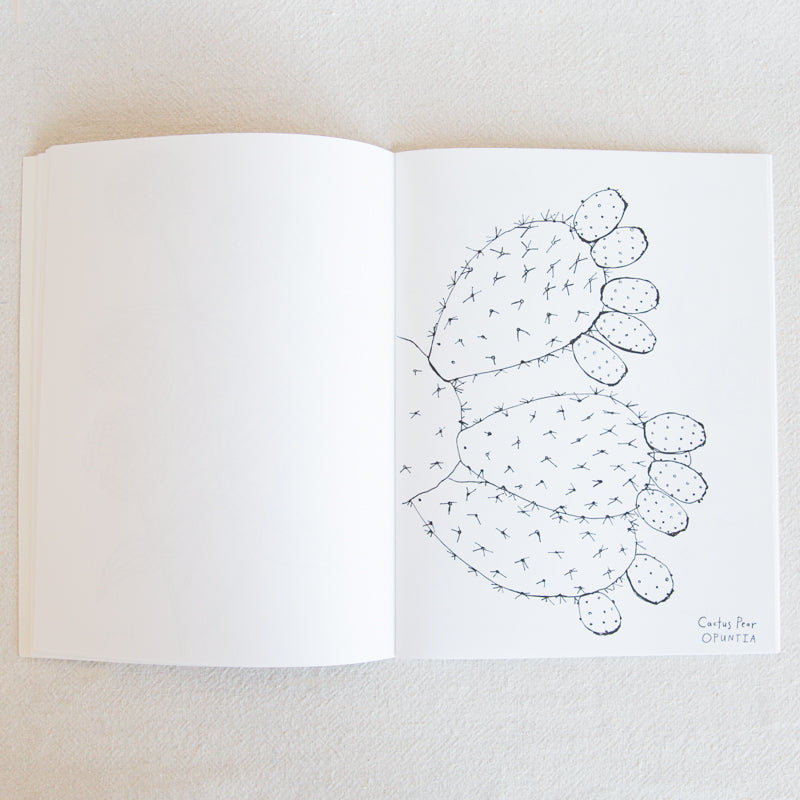 Buds Along the Path Coloring Book