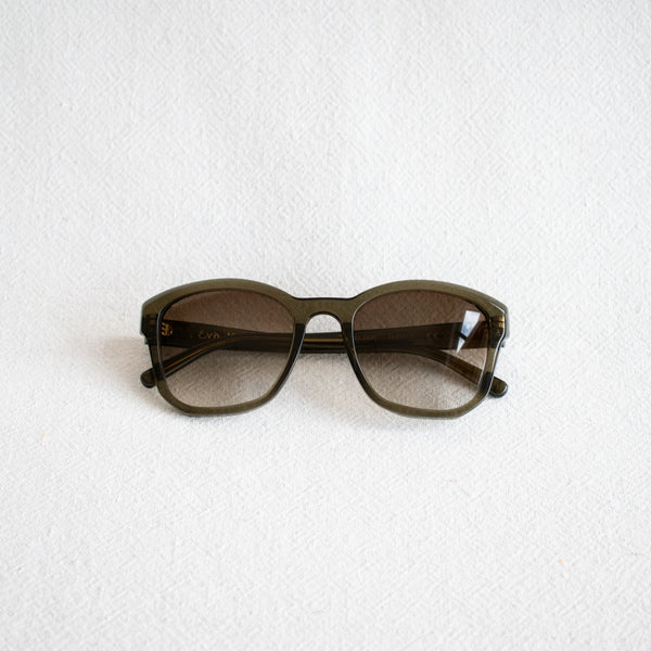 BQE Sunglasses - Turtle