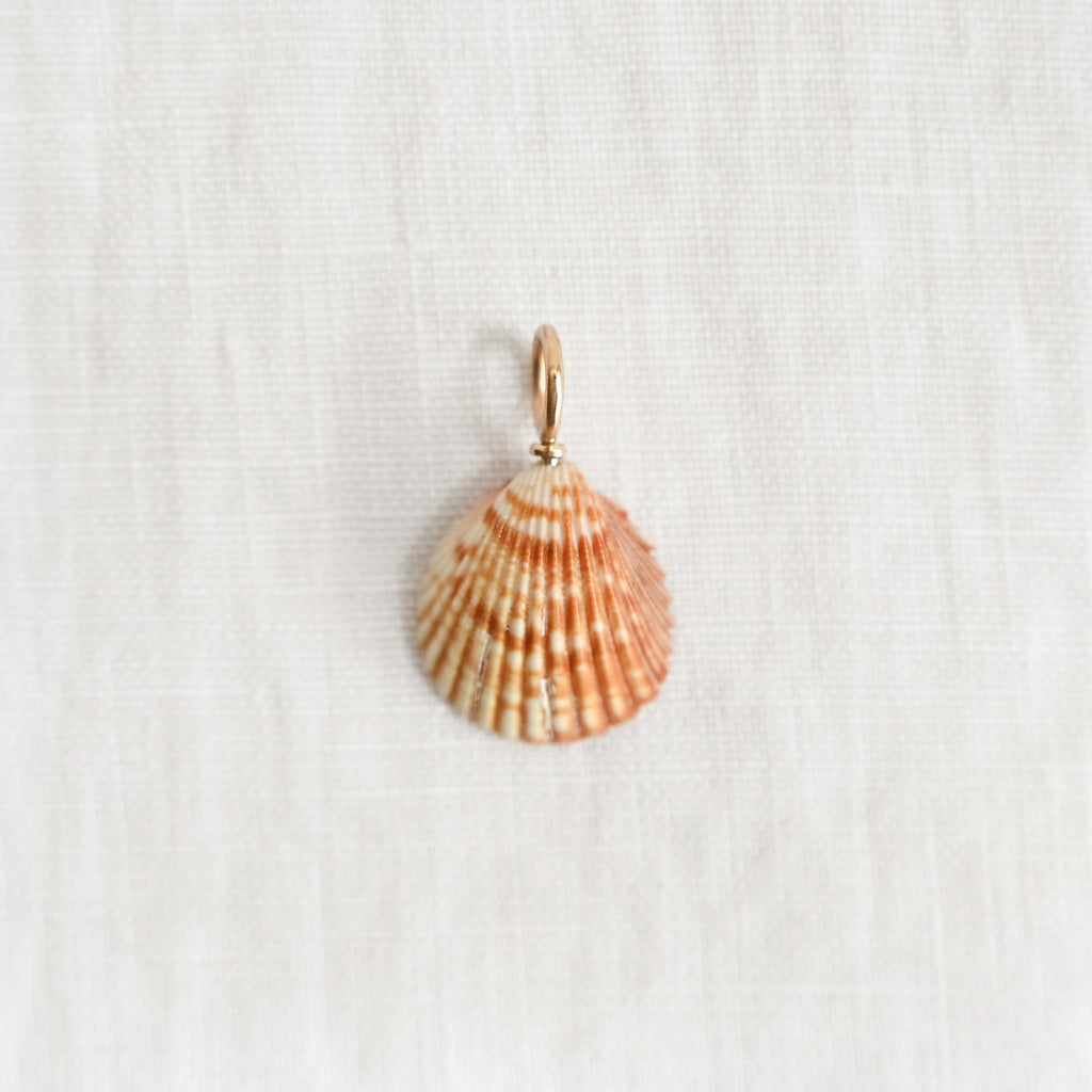 Tesoro Charm Shell