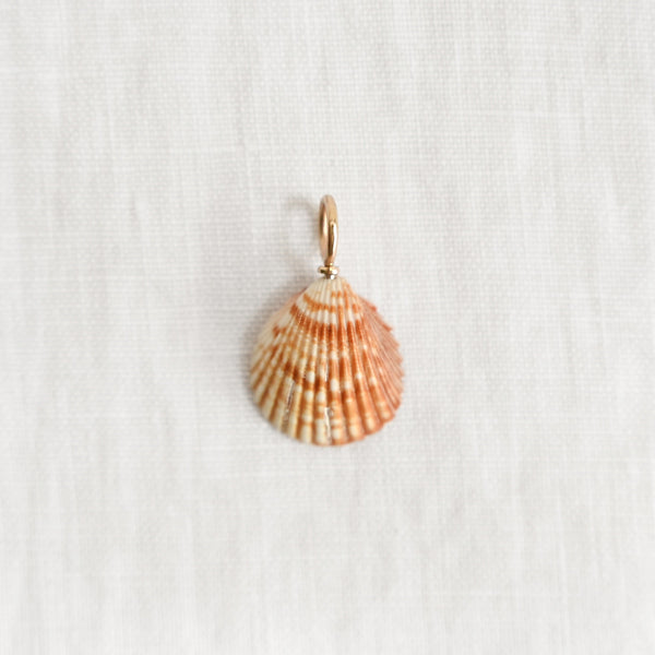 Tesoro Charm Shell