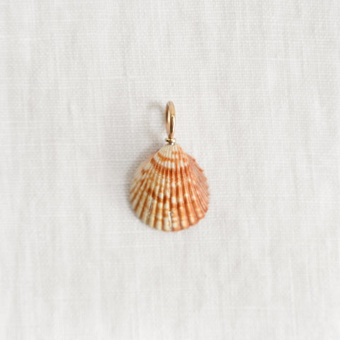 Tesoro Charm Shell