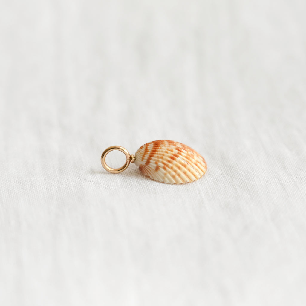 Tesoro Charm Shell