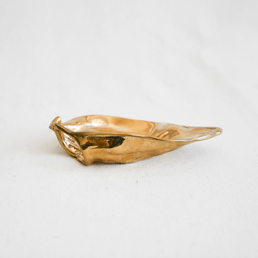 Vegan Pig Ear - Bronze