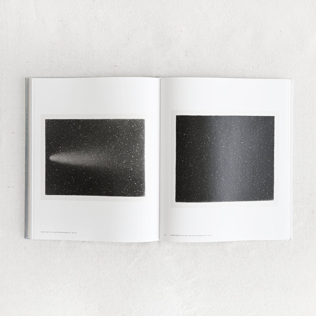 Vija Celmins