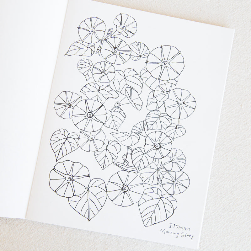 Buds Along the Path Coloring Book