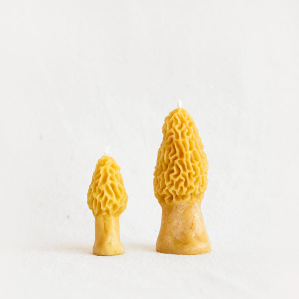 Morel Mushroom Beeswax Candle - Yellow